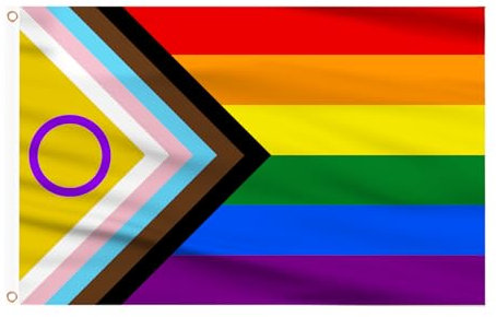 AhfuLife 1Pcs Bandiera LGBTQ+ Orgoglio da 150 x 90 cm, Bandiere del Progresso per Pride Month, Stendardo Doppia Faccia con Occhielli in Ottone, per Parate, Feste del Pride, Eventi, Bar