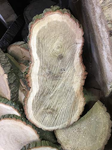 KJR Holzmanufaktur Baumscheibe, Holzscheibe,ca. 50 x 20 x 3 cm, Tischplatte, Eiche