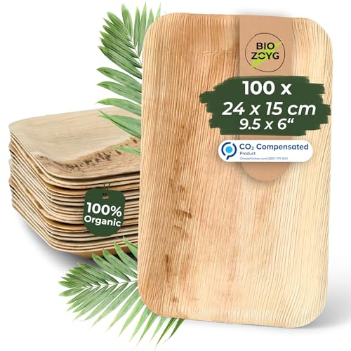 BIOZOYG Einwegteller 100 Stück 25 x 15 cm - Palmblatt Teller Wegwerfgeschirr rechteckig & kompostierbar - Einweg Partygeschirr, Alternative zu Plastiktellern