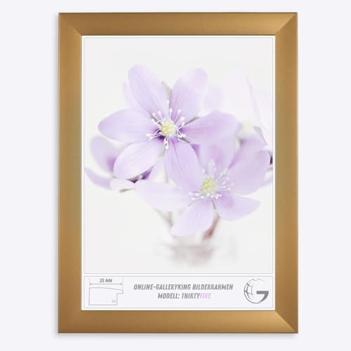 Online-GalleryKing OGK Thirtyfive Bilderrahmen 48x64 cm Gold schlicht mit MDF Holzrahmen vollummantelt, entspiegeltes Anti-Reflex Kunstglas und HDF Rückwand - Fotorahmen für Hoch- und Querformat