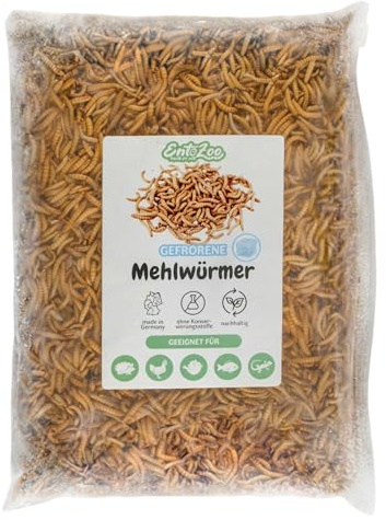EntoZoo Gefrorene Mehlwürmer - Premium Mehlwürmer Vogelfutter auch für Hühner & Fische Proteinreiches Tierfutter | Alternative zu getrockneten Mehlwürmern | ohne Zusatzstoffe | EU Herkunft -1kg