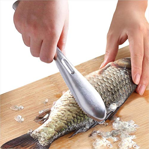 Détartreur de poisson avec dents de scie en acier inoxydable pour enlever facilement les écailles de poisson - Brosse de nettoyage grattoir outil de cuisine