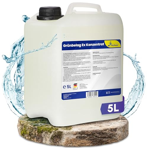 Mr. Perfect Grünbelag Ex Konzentrat 2x5 Liter | Steinreiniger Intensiv Aussen für Pflastersteine, Terrasse, Dach & Beton | Grünbelagentferner entfernt Flechten, Algen & Moos