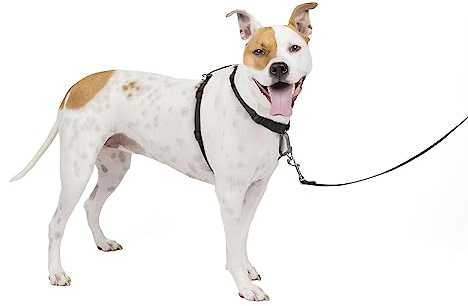 PetSafe 3-in-1 Geschirr, Hundegeschirr mit Rückhaltegurt, Reduziert Ziehen und Druck auf die Kehle, Größe M, Schwarz