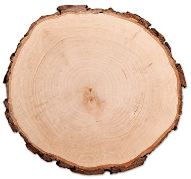 Baumscheibe aus echtem Holz mit Rinde, Runde Holzdeko Baumstamm Scheibe, Natürliche Holzscheibe zum Basteln, Schlichte Holzplatte als robuster Untersetzer