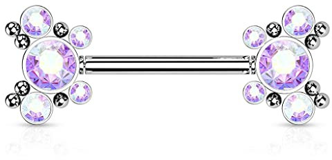 Paula & Fritz® Push-In Piercing Brustwarze Schmetterling Zirkonia Regenbogen Chirurgenstahl 316L 1,6-mm Stab-Dicke Nipple Gewindelos Straight Barbell