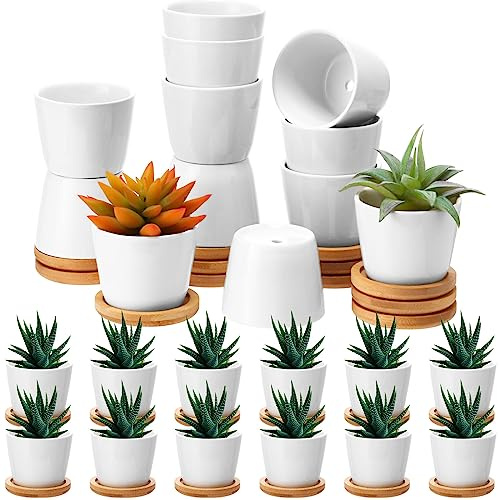 Hsei Mini-Sukkulenten-Blumentöpfe, klein, Keramik-Blumentopf mit Bambus-Tablett, Garten, Kaktus, Kräuterbehälter, Heimbüro, Dekoration für Geburtstag, Hochzeit, Gastgeschenke, Büro, Lehrer, Geschenke
