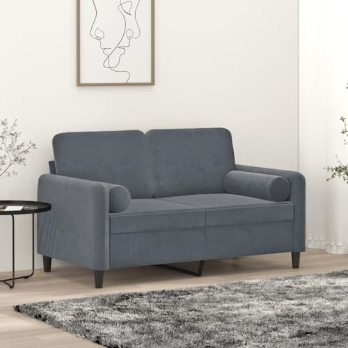 ZEYUAN 2-Sitzer-Sofa mit Zierkissen Dunkelgrau 120 cm Samt, Loungesofa, Sofas & Couches, Relaxsofa, Couch für Wohnzimmer, Couch Mit - 3200872
