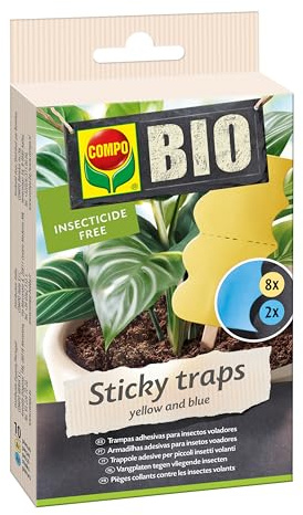 COMPO Bio Trampa Adhesiva Insectos Voladores, Sin venenos, 10 uds | Trampas adhesivas amarillas para control de moscas, mosquitos y pulgones, sin productos químicos tóxicos