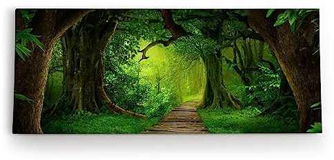 Paul Sinus Wandbild 120x50cm Grüner Wald Märchenhaft Bäume Holzweg Märchenwald