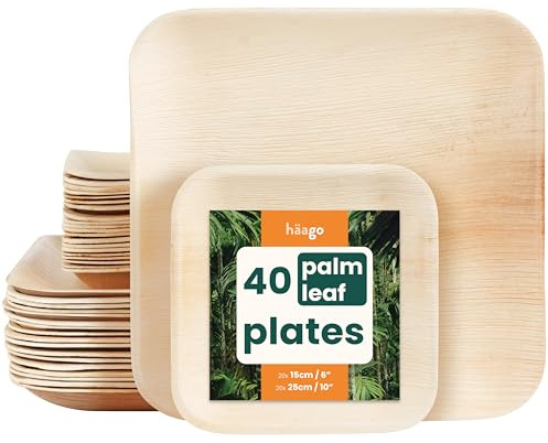 HAAGO Assiettes Palmier Compostables Se Congèle et se Réchauffe au Micro-ondes - 15cm & 25cm Carrées