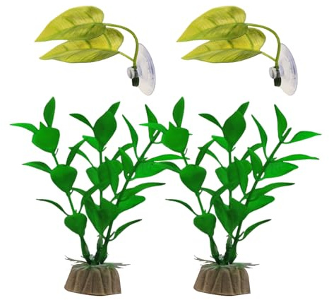 4 morceaux de feuilles de frai, 2 morceaux de plantes aquatiques, fournitures pour animaux d'aquarium, vraies plantes aquatiques, décorations d'aquarium, micro plantes paysagères