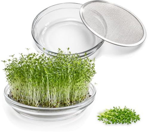 Green MaGeo Krasse Glas odlingsset – 2 krasse glas odlingsskålar med rostfritt stål grobarhet sil, perfekt för odling och som groddglas