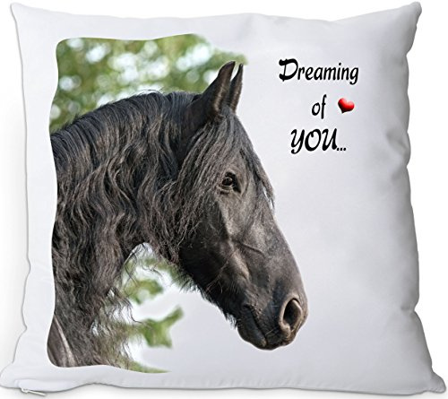 Nanyuk +++ Friese Friesenpferd Pferd - Kuschelkissen/Kissen | Pillow/Kussen - FRI 03