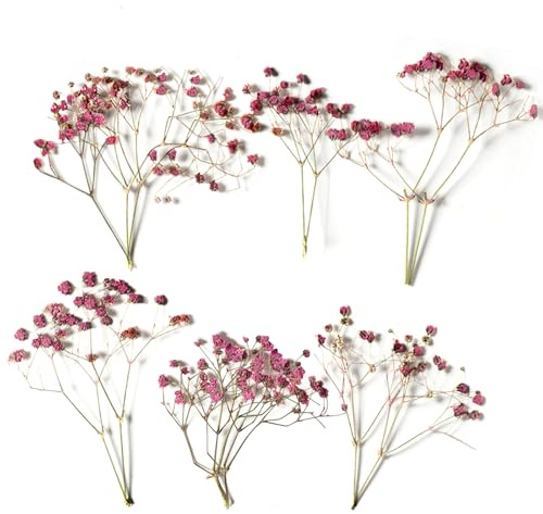 ARYIMYDP 12 Pezzi Fiori Secchi, Gypsophila Rosa, Fiori Secchi Fatti a Mano, Ideali per Regali Decorativi, Cornici e Creazioni Personalizzate