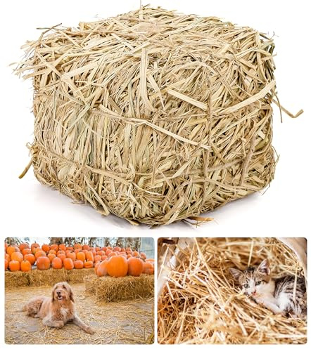 Lengba Natural Straw Bale for Cat Shelter – 8x8x8Soft & Dry Straw Bedding for Cats, Feral Cats & Small Animals | Decorative Hay Bale for Outdoor Use, Farm Décor, Garden Straw & Pet Bedding (1)