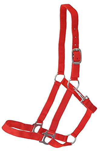 German Riding Halfter NYLONHALFTER rot Mini Shetty