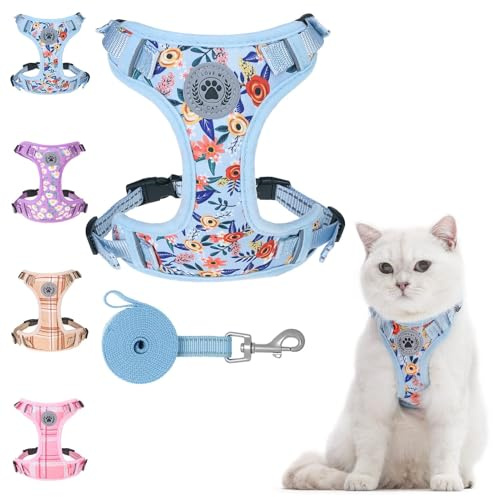 BEAUTYZOO Katzengeschirr und Leine, Set zum Spazierengehen, ausbruchsicher, Halsfreigabe, verstellbares Geschirr für Kätzchen, Welpen, kleine, kleines Katzengeschirr für Katzen, Jungen und Mädchen