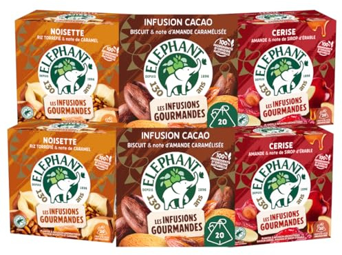Éléphant - Découverte Thés Gourmands - 6 Boîtes | Cacao, Noisette & Cerise aux Notes Caramel et Érable