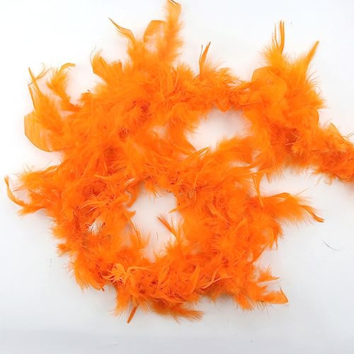 Aniyan Federboa 2M - Leichte Truthahnfedern Boa Für Partys, Karneval, Hochzeiten & Dekoration - Weicher Federschal Als Accessoire Für Kostüme, Shows Und Events (Orange 2 Stück)