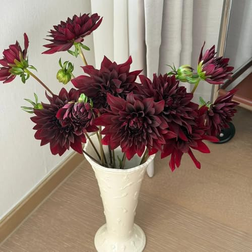 dalias resistentes jardín y balcón tubérculos de dalia raras de primavera interior jardín bulbootoño, resistentes, con floración. 15bulbos