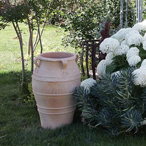 Palatina Werkstatt Poterie Palatine | Grande jardinière amphore en Terre Cuite résistante | 70 cm | Grande jardinière Pot en Terre Cuite Balcon de Jardin extérieur Datura