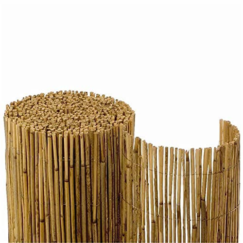 NOOR Schilfrohrmatte ST. Tropez - Natürlicher Sichtschutz aus Schilf für Balkon, Terrasse und Garten - Wetterfeste Sichtschutzmatte zum Anbringen am Zaun - 100 cm x 6 m Schilfrohr Balkonsichtschutz