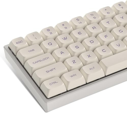 Double Shot PBT keycaps Set,XDA Profile keycaps 75 Percent,Milky White Keyboard caps,Dye-Sub Key Cap,Custom Keycaps for Gateron MX Switches Mechanical Keyboard (134keys)