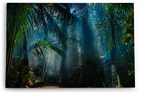 Paul Sinus Wandbild 120x80cm Dschungel Palmen Tropisch Lichtstrahlen Grün Bäume