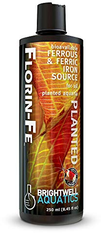 Brightwell Aquatics Florin-Fe Iron Supplement for Planted Aquariums – Dual-Action Iron Source for Plant Growth, Chlorophyll & Vibrant Foliage – Daily Dosing, 250 ml