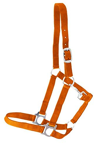German Riding Halfter NYLONHALFTER orange Mini Shetty