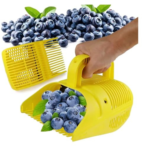 Recolector portátil de bayas y arándanos, rastrillos peine plástico, recolección manual frutas