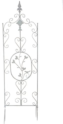 CLP Treillis de Jardin BURGUS en Métal Solide - Tuteur pour Plantes Grimpantes de Taille 122 x 35 cm - Support à Rosiers en Différentes Couleurs pour décorer Votre Jardin Blanc Antique