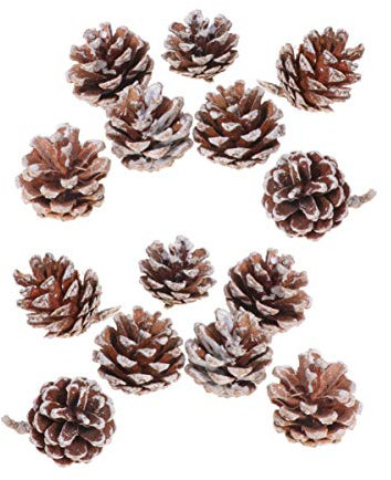 Artibetter 25Pcs Light Brown Pine Cones with White Tips for Christmas Tree Decor, Winter Crafts, Home and Party Decoration (3-4cm)