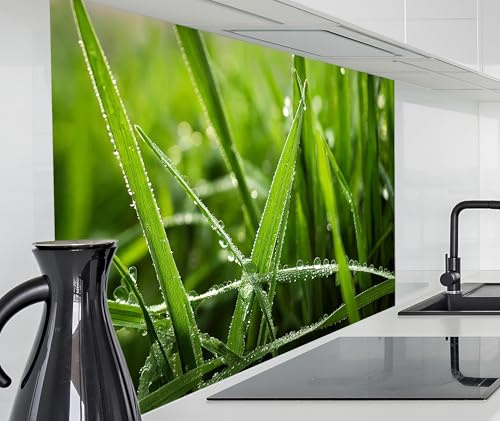 timalo Alu Spritzschutz Wand für Herd, Küche Küchenrückwand | Aluminium 2mm | Alurückwand Aluverbund Wandpaneele Rückwandschutz Platte | 60x40cm Gras mit Regentropfen