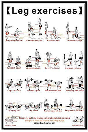 Ling88 Bilder,Poster,Kunstdrucke,Brust Hantel Workout Übung Poster ， Krafttraining Diagramm - Home Gym Gewichtheben Routine ， Bodybuilding Guide Guide Fitness Übung Wandbilder-50X70Cm