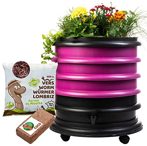 WORMbox | Wormery Worm Farm composter 3 Raspberry Trays + Planter + 250gr of Compost Worms / 500 ctn + 1 Coco + 1 Coco | 48 liters | Organic Waste Compost, make your Worm Castings