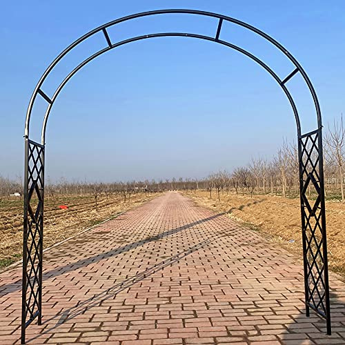Arche de jardin en treillis métallique pour mariages, support pour plantes grimpantes, arche pour rosiers pour événements, cadre d'exposition en acier, décoration extérieure pour fêtes de ja