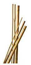 Lot de 10 Tuteurs Bambou 120 cm diam 6-8 mm