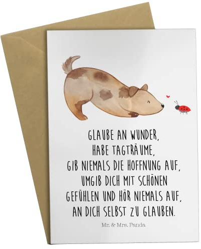 Mr. & Mrs. Panda Glückwunschkarte Hund Marienkäfer - Geschenk, Mischlingshund, osterkarten, weihnachtskarten, Mischling, hochzeitskarten, Sprüche, Grußkarten, Zuversichtlich, einladungskarten, Positiv