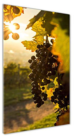 Tulup - Impression sur Verre Acrylique - 70x140 - Image sur Plexiglas - Déco Mural derrière Le Plastique - Tableaux pour la Mur - Mural Art - Décoration - Paysage - Vert - vignoble