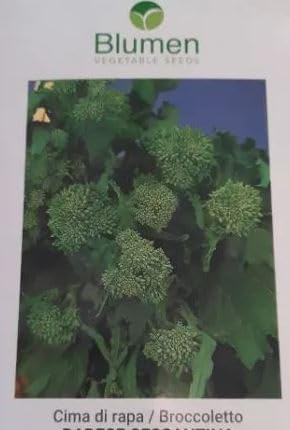 BLUMEN SEMENTI, CIMA DI RAPA NOVANTINA 90INA SEMI BROCOLETTI BARESE GR.500