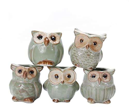 NULYLU Ceramic Owl Flowerpot Set 5pcs Mini Plant Pots Ornament | Adorable Mixed-style Decor, for Small Flowers and Plant Displays, Desk and Home Accent Use Random Style