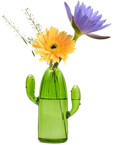 XXXFLOWER Cactus Plant Propagation Station 1 Cactus Vase Terrarium Jars