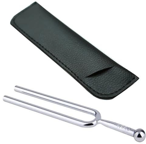 Stimmgabel 440Hz EINE Ton Stimmgabel Leichte Edelstahl Violine Tuner Hammer Tragbare