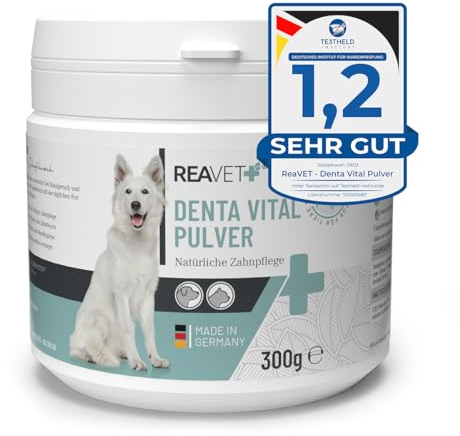 ReaVET Denta Vital Zahnpflege Pulver Hund & Katzen 300g - Zahnsteinentferner, Mittel gegen Zahnstein Hund Katze I Gegen Mundgeruch bei Hunden, Zahnpflege Katzen