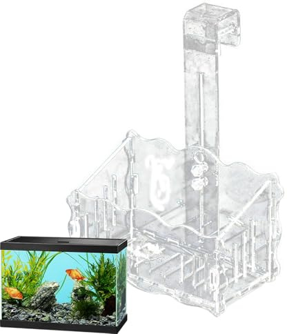 Porta Acquario Acrilico, Acquatica, Vaso Da Acquatico | Porta Acquario, Vaso Da Acquario Liscio per Pothos, Verdi, Fucsia, J