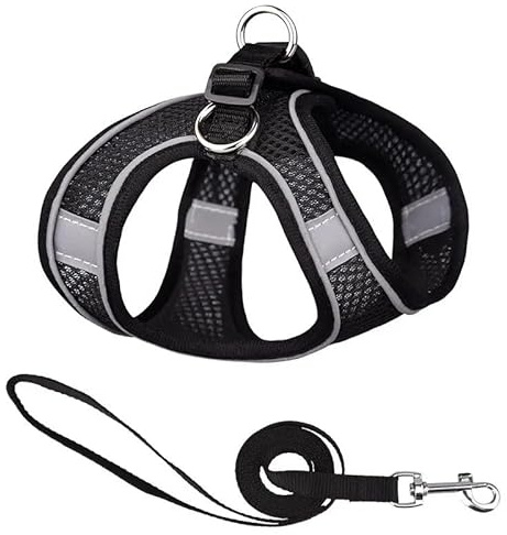 Hundegeschirr mit Leine, Step-in Weich Gepolstert Geschirr Reflektierend, Air-Mesh Atmungsaktiv Brustgeschirr, Welpengeschirr für Kleine Hunde, Haustiere, Welpen, Katzen (schwarz, Größe: M)