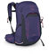 Tempest 22 deep fig/hotspot pink (1095) O/S