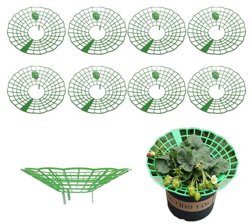 Feliciay 8 soportes para fresas para proteger las fresas del polvo y los caracoles, estante extraíble para plantas, para ensalada de fresas, tomates, caracoles y protección contra la putrefacción del